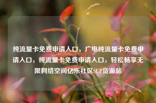 纯流量卡免费申请入口，广电纯流量卡免费申请入口，纯流量卡免费申请入口，轻松畅享无限网络空间亿乐社区SUP货源站  第1张