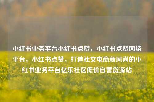 小红书业务平台小红书点赞	，小红书点赞网络平台，小红书点赞，打造社交电商新风尚的小红书业务平台亿乐社区低价自营货源站  第1张