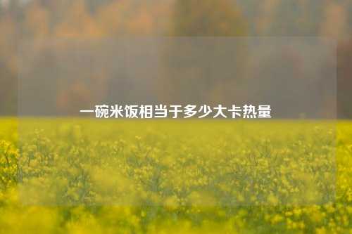 一碗米饭相当于多少大卡热量  第1张