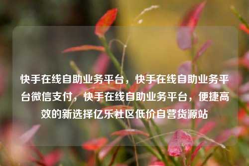 快手在线自助业务平台，快手在线自助业务平台微信支付，快手在线自助业务平台	，便捷高效的新选择亿乐社区低价自营货源站  第1张