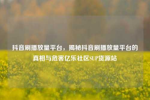 抖音刷播放量平台，揭秘抖音刷播放量平台的真相与危害亿乐社区SUP货源站  第1张