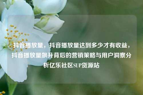抖音播放量，抖音播放量达到多少才有收益，抖音播放量飙升背后的营销策略与用户洞察分析亿乐社区SUP货源站  第1张