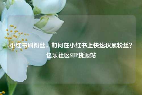 小红书刷粉丝，如何在小红书上快速积累粉丝？亿乐社区SUP货源站  第1张