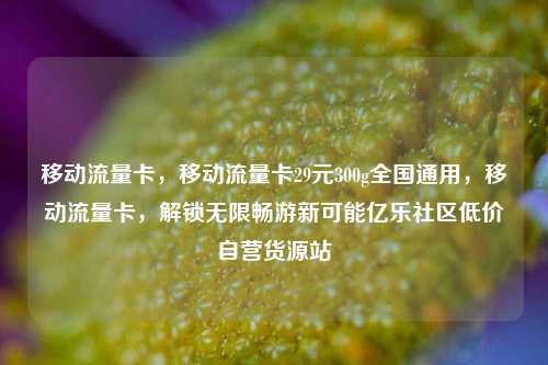 移动流量卡，移动流量卡29元300g全国通用，移动流量卡	，解锁无限畅游新可能亿乐社区低价自营货源站  第1张