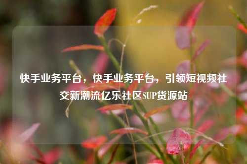 快手业务平台	，快手业务平台，引领短视频社交新潮流亿乐社区SUP货源站  第1张