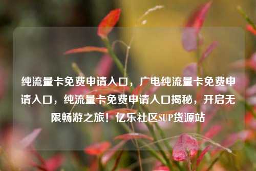 纯流量卡免费申请入口，广电纯流量卡免费申请入口，纯流量卡免费申请入口揭秘，开启无限畅游之旅！亿乐社区SUP货源站  第1张