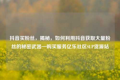 抖音买粉丝，揭秘，如何利用抖音获取大量粉丝的秘密武器—购买服务亿乐社区SUP货源站  第1张