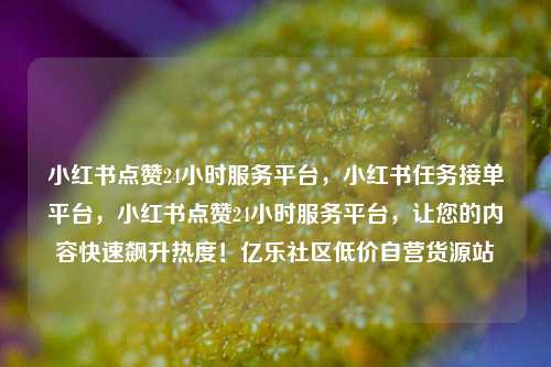 小红书点赞24小时服务平台，小红书任务接单平台，小红书点赞24小时服务平台	，让您的内容快速飙升热度！亿乐社区低价自营货源站  第1张
