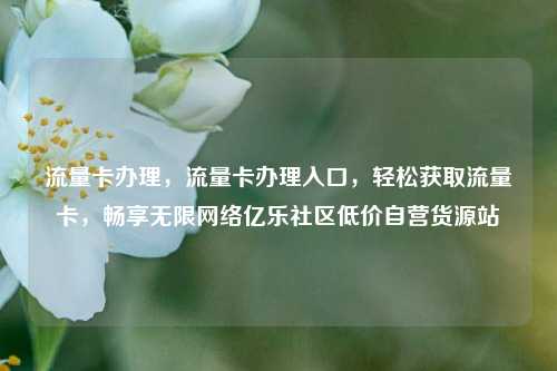 流量卡办理，流量卡办理入口，轻松获取流量卡，畅享无限网络亿乐社区低价自营货源站  第1张