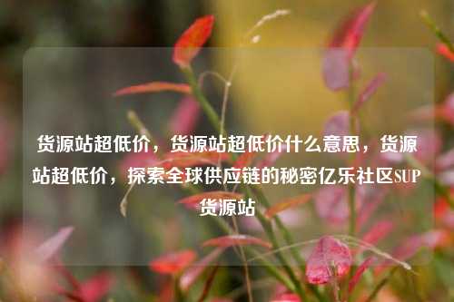 货源站超低价，货源站超低价什么意思，货源站超低价	，探索全球供应链的秘密亿乐社区SUP货源站  第1张