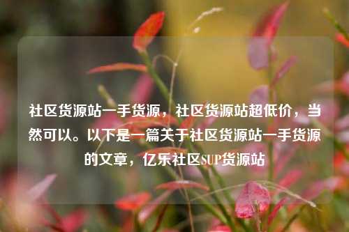 社区货源站一手货源，社区货源站超低价，当然可以。以下是一篇关于社区货源站一手货源的文章，亿乐社区SUP货源站  第1张