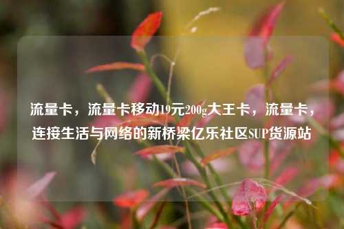 流量卡，流量卡移动19元200g大王卡	，流量卡，连接生活与网络的新桥梁亿乐社区SUP货源站  第1张
