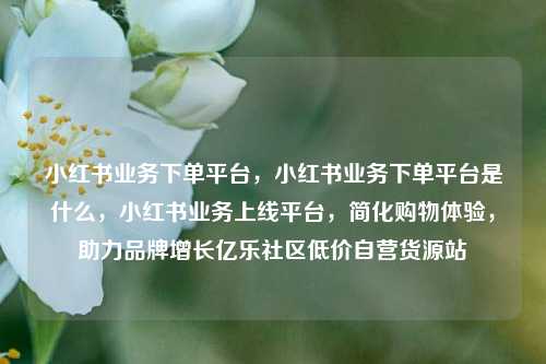 小红书业务下单平台，小红书业务下单平台是什么	，小红书业务上线平台，简化购物体验，助力品牌增长亿乐社区低价自营货源站  第1张