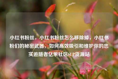 小红书粉丝	，小红书粉丝怎么移除掉，小红书粉们的秘密武器，如何高效吸引和维护你的忠实追随者亿乐社区SUP货源站  第1张