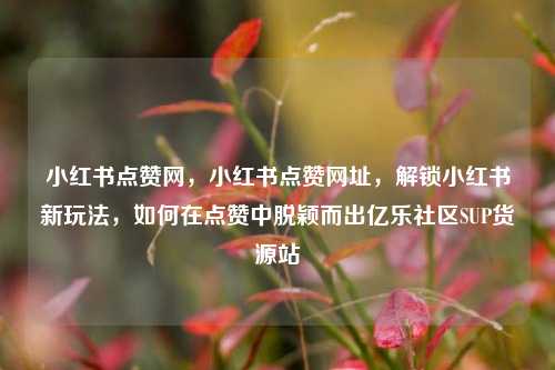 小红书点赞网，小红书点赞网址	，解锁小红书新玩法，如何在点赞中脱颖而出亿乐社区SUP货源站  第1张