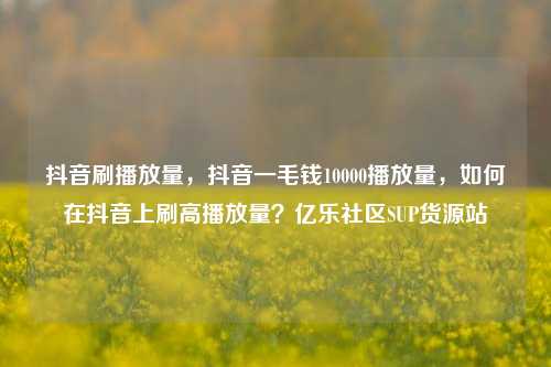 抖音刷播放量，抖音一毛钱10000播放量，如何在抖音上刷高播放量？亿乐社区SUP货源站  第1张