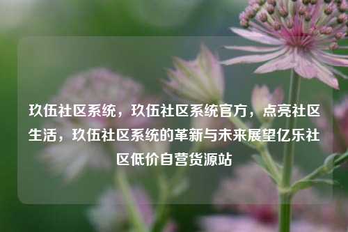 玖伍社区系统	，玖伍社区系统官方，点亮社区生活，玖伍社区系统的革新与未来展望亿乐社区低价自营货源站  第1张