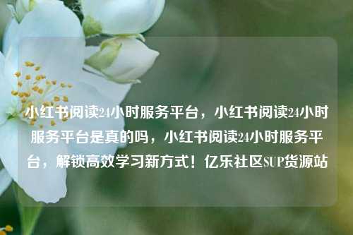 小红书阅读24小时服务平台	，小红书阅读24小时服务平台是真的吗，小红书阅读24小时服务平台，解锁高效学习新方式！亿乐社区SUP货源站  第1张