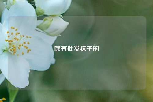 哪有批发袜子的  第1张
