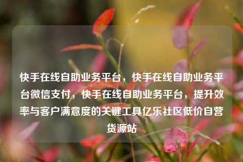 快手在线自助业务平台，快手在线自助业务平台微信支付，快手在线自助业务平台	，提升效率与客户满意度的关键工具亿乐社区低价自营货源站  第1张
