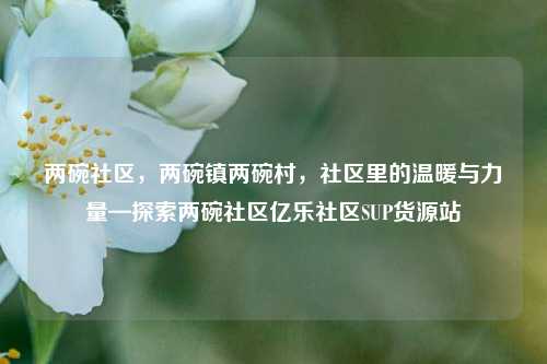 两碗社区	，两碗镇两碗村，社区里的温暖与力量—探索两碗社区亿乐社区SUP货源站  第1张