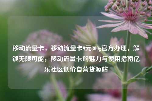 移动流量卡，移动流量卡9元300g官方办理	，解锁无限可能，移动流量卡的魅力与使用指南亿乐社区低价自营货源站  第1张