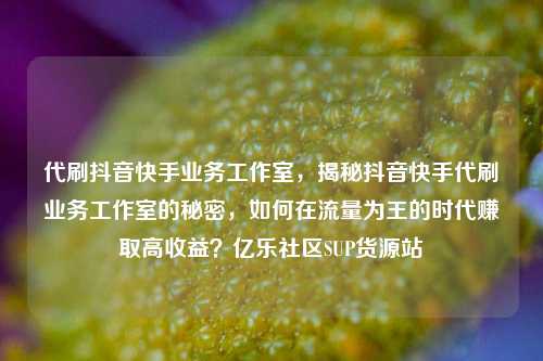 代刷抖音快手业务工作室，揭秘抖音快手代刷业务工作室的秘密，如何在流量为王的时代赚取高收益？亿乐社区SUP货源站  第1张