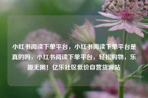 小红书阅读下单平台	，小红书阅读下单平台是真的吗，小红书阅读下单平台，轻松购物，乐趣无限！亿乐社区低价自营货源站  第1张
