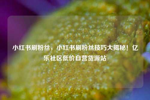 小红书刷粉丝，小红书刷粉丝技巧大揭秘！亿乐社区低价自营货源站  第1张