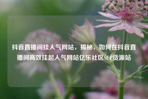 抖音直播间挂人气网站，揭秘	，如何在抖音直播间高效挂起人气网站亿乐社区SUP货源站  第1张