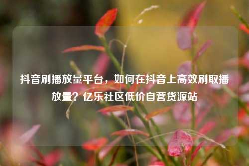 抖音刷播放量平台	，如何在抖音上高效刷取播放量？亿乐社区低价自营货源站  第1张