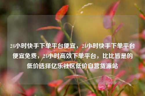 24小时快手下单平台便宜，24小时快手下单平台便宜免费	，24小时高效下单平台，比比皆是的低价选择亿乐社区低价自营货源站  第1张