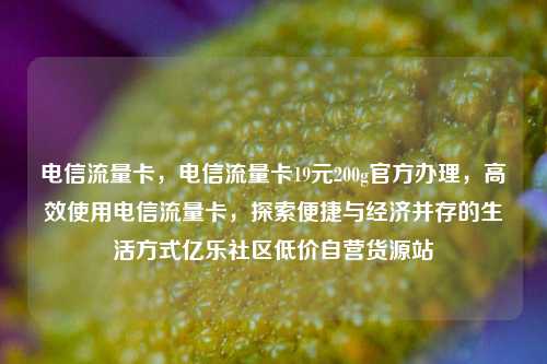 电信流量卡，电信流量卡19元200g官方办理，高效使用电信流量卡	，探索便捷与经济并存的生活方式亿乐社区低价自营货源站  第1张