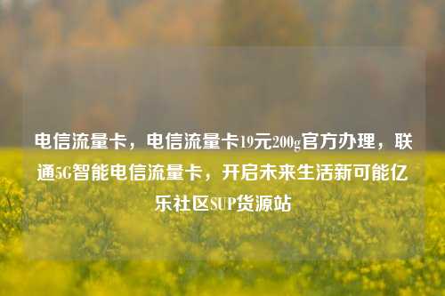 电信流量卡，电信流量卡19元200g官方办理，联通5G智能电信流量卡	，开启未来生活新可能亿乐社区SUP货源站  第1张