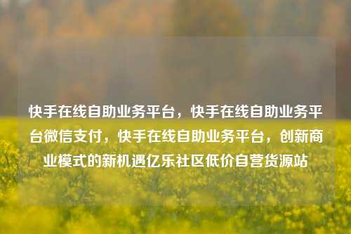 快手在线自助业务平台，快手在线自助业务平台微信支付	，快手在线自助业务平台，创新商业模式的新机遇亿乐社区低价自营货源站  第1张
