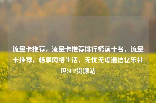 流量卡推荐	，流量卡推荐排行榜前十名，流量卡推荐，畅享网络生活，无忧无虑通信亿乐社区SUP货源站  第1张