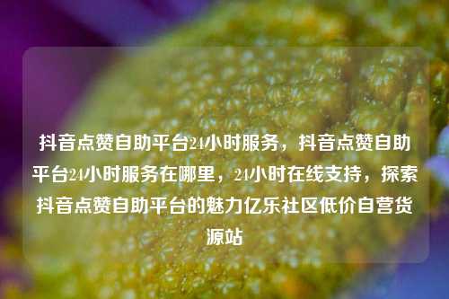 抖音点赞自助平台24小时服务	，抖音点赞自助平台24小时服务在哪里，24小时在线支持，探索抖音点赞自助平台的魅力亿乐社区低价自营货源站  第1张