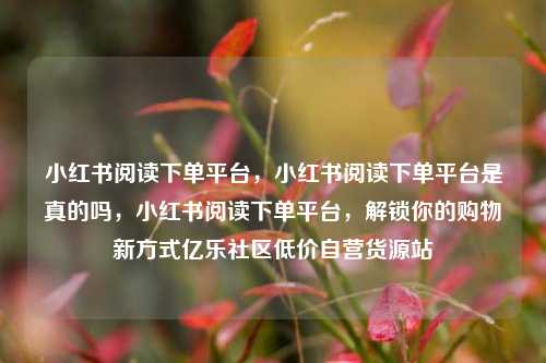 小红书阅读下单平台，小红书阅读下单平台是真的吗，小红书阅读下单平台，解锁你的购物新方式亿乐社区低价自营货源站  第1张
