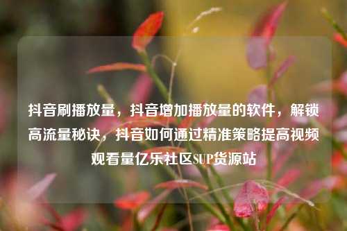 抖音刷播放量，抖音增加播放量的软件，解锁高流量秘诀	，抖音如何通过精准策略提高视频观看量亿乐社区SUP货源站  第1张