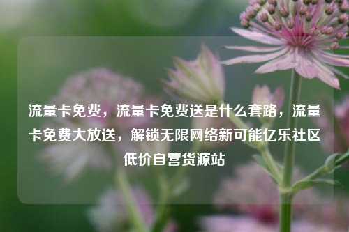 流量卡免费	，流量卡免费送是什么套路，流量卡免费大放送，解锁无限网络新可能亿乐社区低价自营货源站  第1张