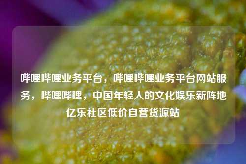哔哩哔哩业务平台，哔哩哔哩业务平台网站服务，哔哩哔哩	，中国年轻人的文化娱乐新阵地亿乐社区低价自营货源站  第1张