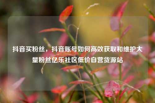抖音买粉丝，抖音账号如何高效获取和维护大量粉丝亿乐社区低价自营货源站  第1张