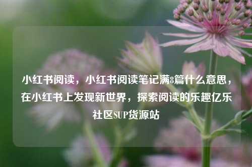 小红书阅读	，小红书阅读笔记满8篇什么意思，在小红书上发现新世界，探索阅读的乐趣亿乐社区SUP货源站  第1张