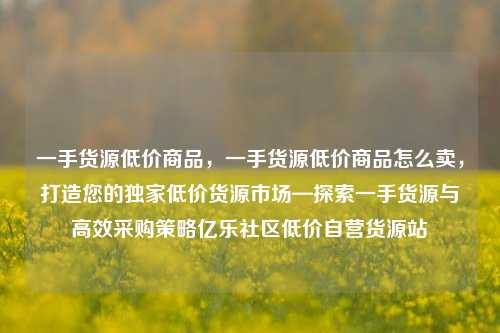 一手货源低价商品	，一手货源低价商品怎么卖，打造您的独家低价货源市场—探索一手货源与高效采购策略亿乐社区低价自营货源站  第1张