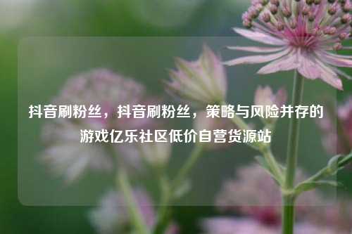 抖音刷粉丝，抖音刷粉丝	，策略与风险并存的游戏亿乐社区低价自营货源站  第1张