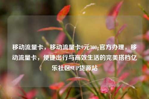 移动流量卡，移动流量卡9元300g官方办理，移动流量卡	，便捷出行与高效生活的完美搭档亿乐社区SUP货源站  第1张