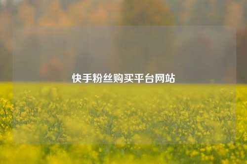 快手粉丝购买平台网站  第1张
