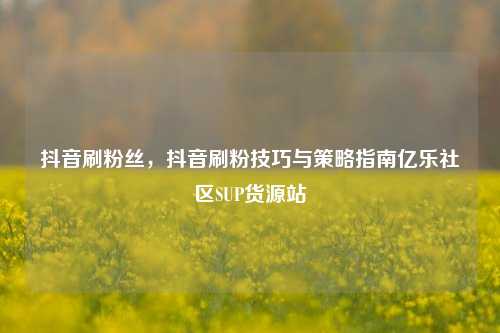 抖音刷粉丝，抖音刷粉技巧与策略指南亿乐社区SUP货源站  第1张