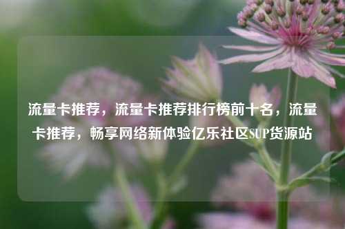 流量卡推荐	，流量卡推荐排行榜前十名，流量卡推荐，畅享网络新体验亿乐社区SUP货源站  第1张