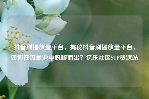 抖音刷播放量平台，揭秘抖音刷播放量平台	，如何在流量池中脱颖而出？亿乐社区SUP货源站  第1张